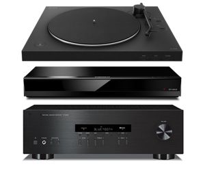 AV Receivers & Components