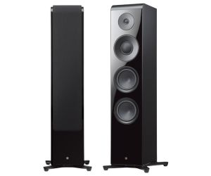 Floor Standing Speakers