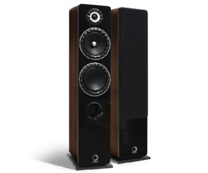 Floor Standing Speakers