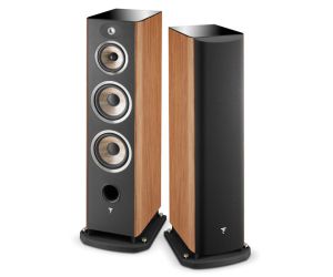 Floor Standing Speakers